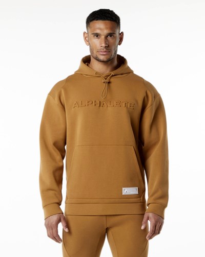 Almond Alphalete Relaxed Interlock Knit Hoodie | DGLKPA689