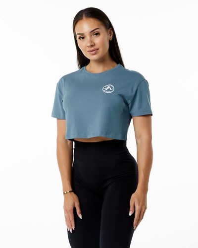 Atlantic Blue Alphalete Fitted Performance Short Sleeve Crop | GAXIDU164