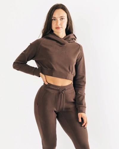 Cocoa Alphalete Relaxed Single-Brushed Pullover Hoodie | SUWLHQ612