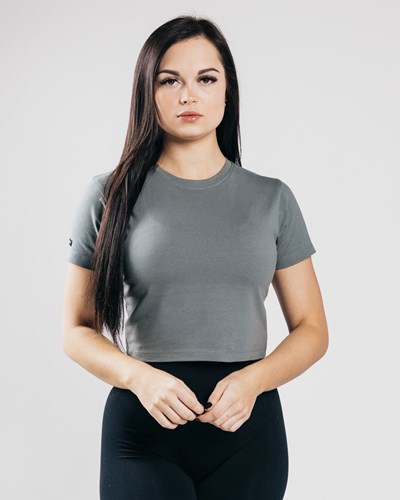 Concrete Alphalete Fitted Performance Crop Top | NFRCSM849