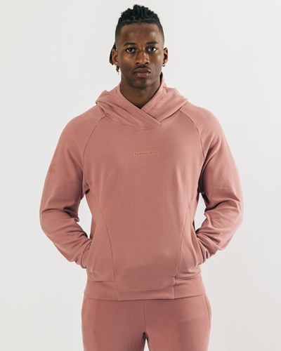 Cranberry Ice Alphalete Relaxed Single-Brushed Pullover Hoodie | KZUGXJ987