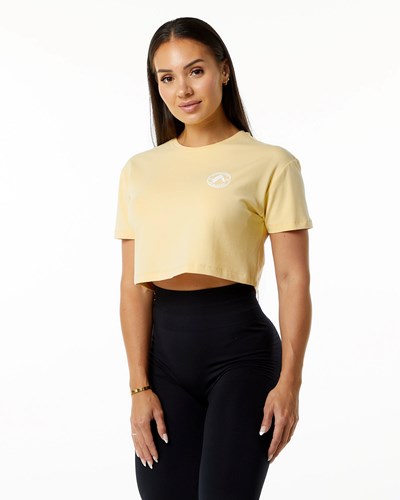 Daffodil Alphalete Fitted Performance Short Sleeve Crop | PHTBCV278