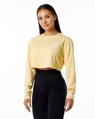 Daffodil Alphalete Oversized Performance Long Sleeve Crop | PRIOMB163