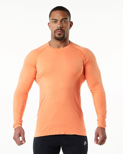 Faded Day Tripper Alphalete High Performance Seamless Long Sleeve Tee | SANBVG931