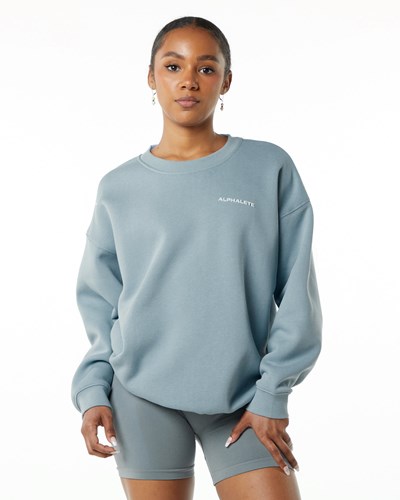 Fog Blue Alphalete Brushed Fleece Crewneck Sweater | RSMZYJ049