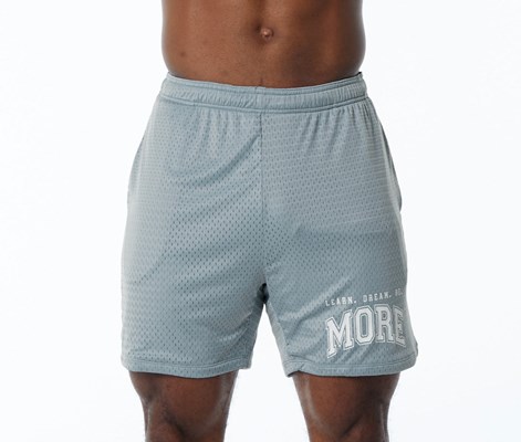 Fog Blue Alphalete Luxury Lined 4-Way Stretch Mesh Short | XAQUIK495