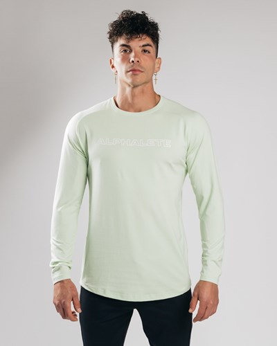 Frozen Spring Alphalete Fitted Performance Long Sleeve | WFDCIU153