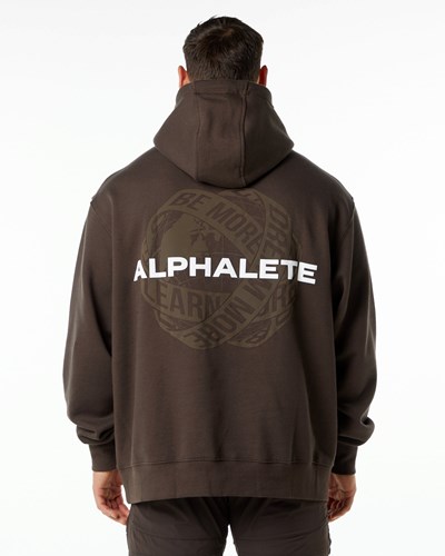 Fudge Brown Alphalete Brushed Fleece Graphic Hoodie | WKCZYG497