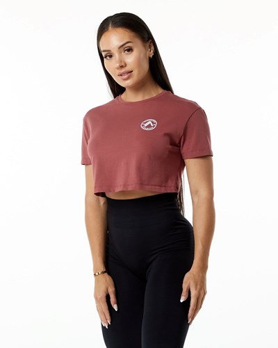 Gingerbread Alphalete Fitted Performance Short Sleeve Crop | GQYFHO420