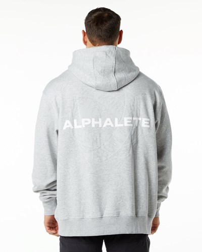 Heather Grey Alphalete Brushed Fleece Graphic Hoodie | WSVDJH504