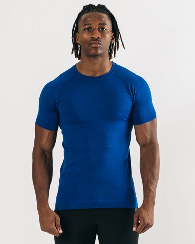 Hydro Blue Alphalete High Performance Seamless Short Sleeve Tee | AXWVZU810