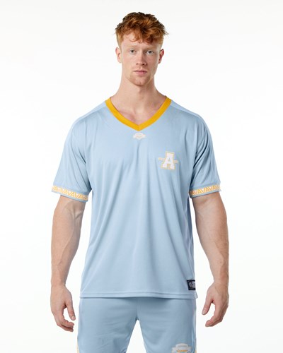 Light Blue Alphalete Oversized Short Sleeve Jersey | BZJCOT172