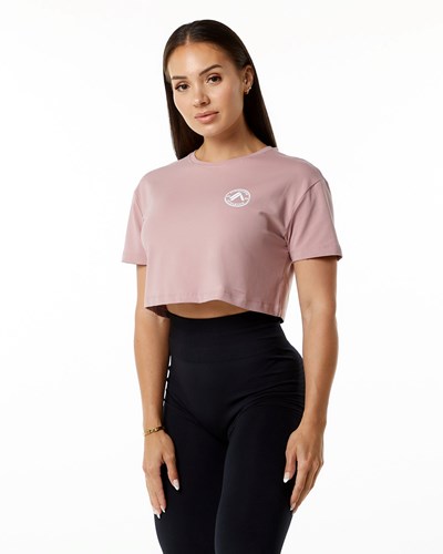 Mauve Alphalete Fitted Performance Short Sleeve Crop | FOUAWX614