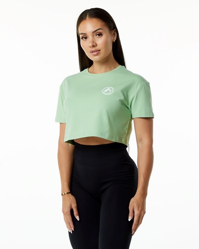 Pistachio Alphalete Fitted Performance Short Sleeve Crop | JEPOQF526