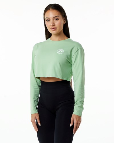 Pistachio Alphalete Oversized Performance Long Sleeve Crop | UDFGSW142