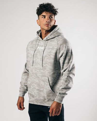 Silver Summit Alphalete Fitted Performance Hoodie | TWKZQE107