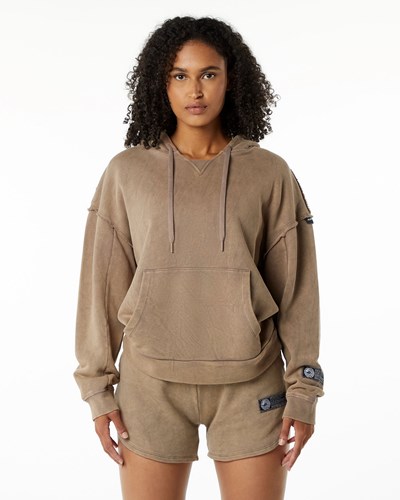 Smokey Quartz Alphalete Heavyweight Washed Terry Hoodie | RELDSG072