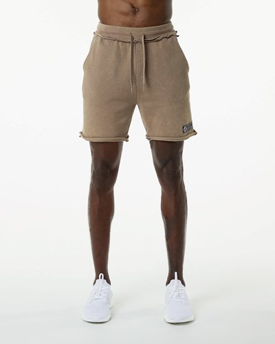 Smokey Quartz Alphalete Heavyweight Washed Terry Short | SWYENA874