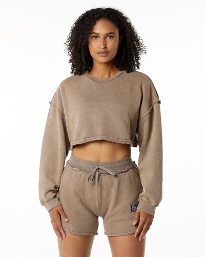 Smokey Quartz Alphalete Heavyweight Washed Terry Crop Pullover | WLYNQB167