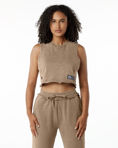 Smokey Quartz Alphalete Mid-Weight Washed Terry Crop Cutoff | AFJOBV786