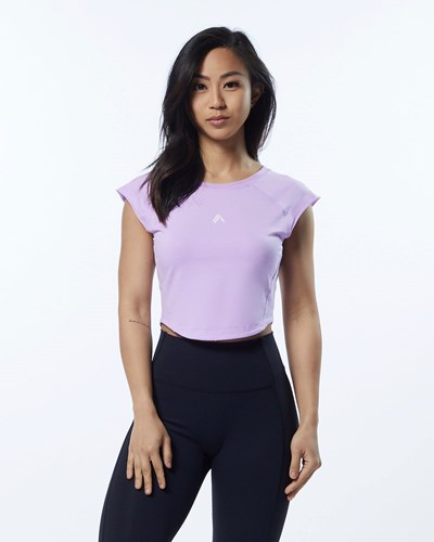 Static Lavender Alphalete High Performance Short Sleeve Crop Tee | HSREWC621