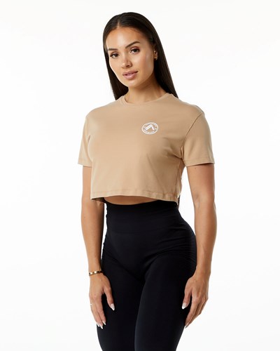 Taupe Alphalete Fitted Performance Short Sleeve Crop | SPVMDG329