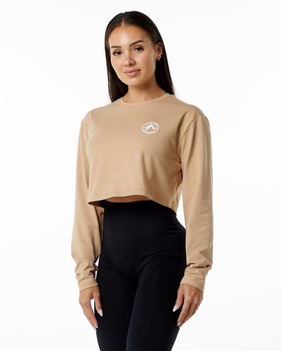 Taupe Alphalete Oversized Performance Long Sleeve Crop | PBNUCR903