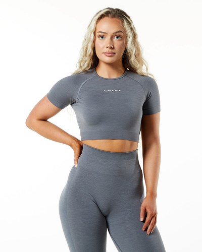 Titanium Alphalete Cropped Seamless Short Sleeve | VLPMNH078