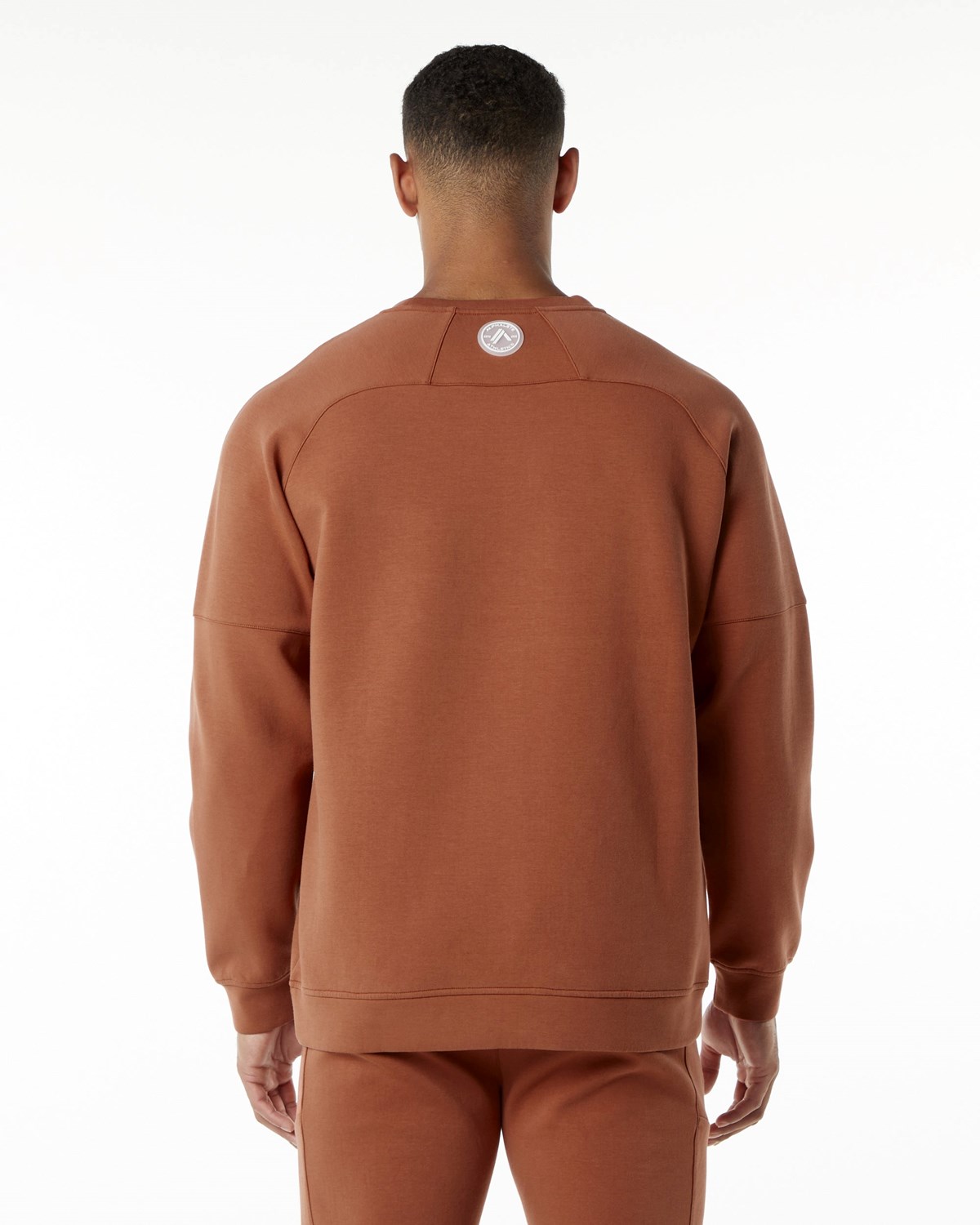 Brick Alphalete Relaxed Interlock Knit Pullover | PVCBHG095