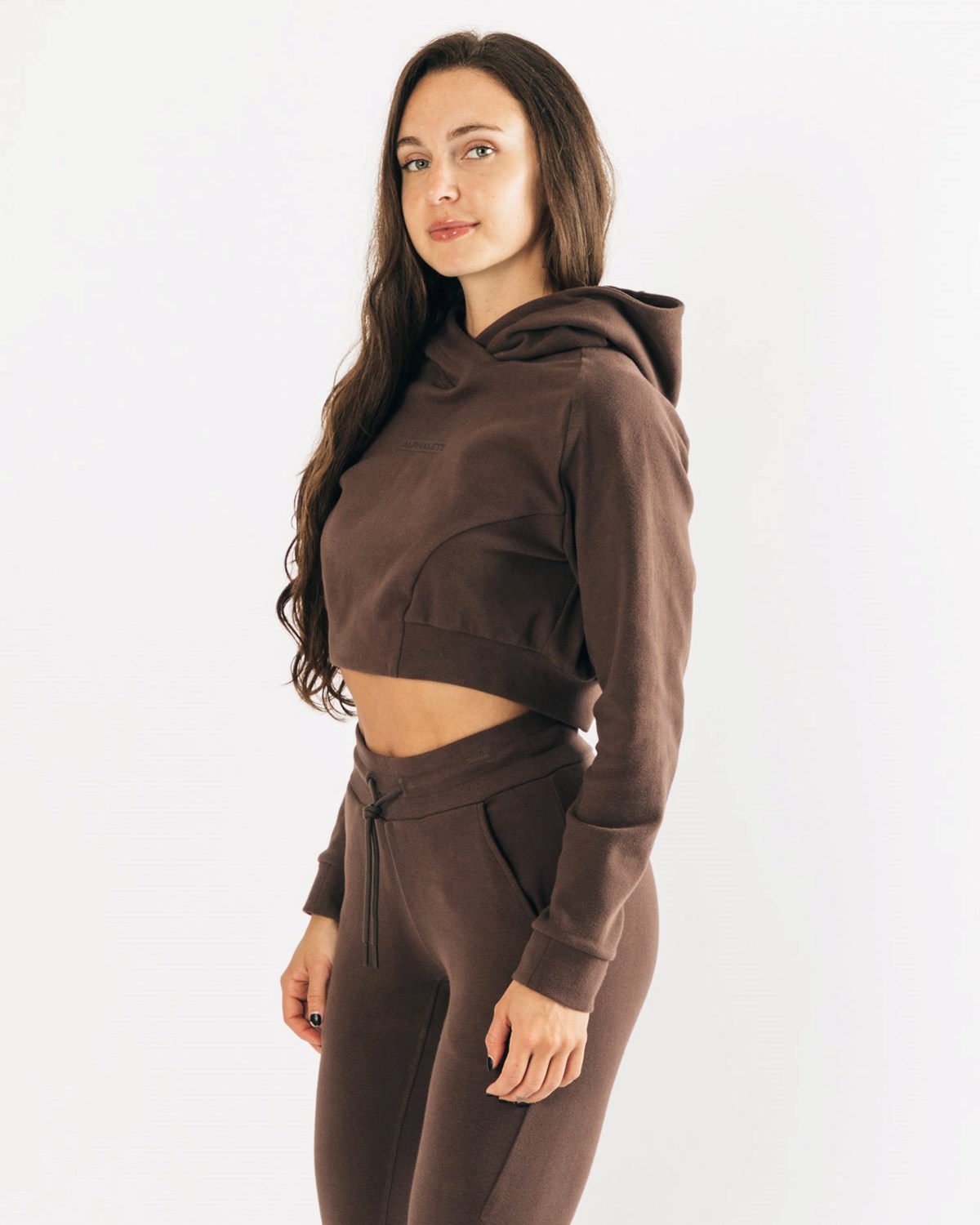 Cocoa Alphalete Relaxed Single-Brushed Pullover Hoodie | SUWLHQ612