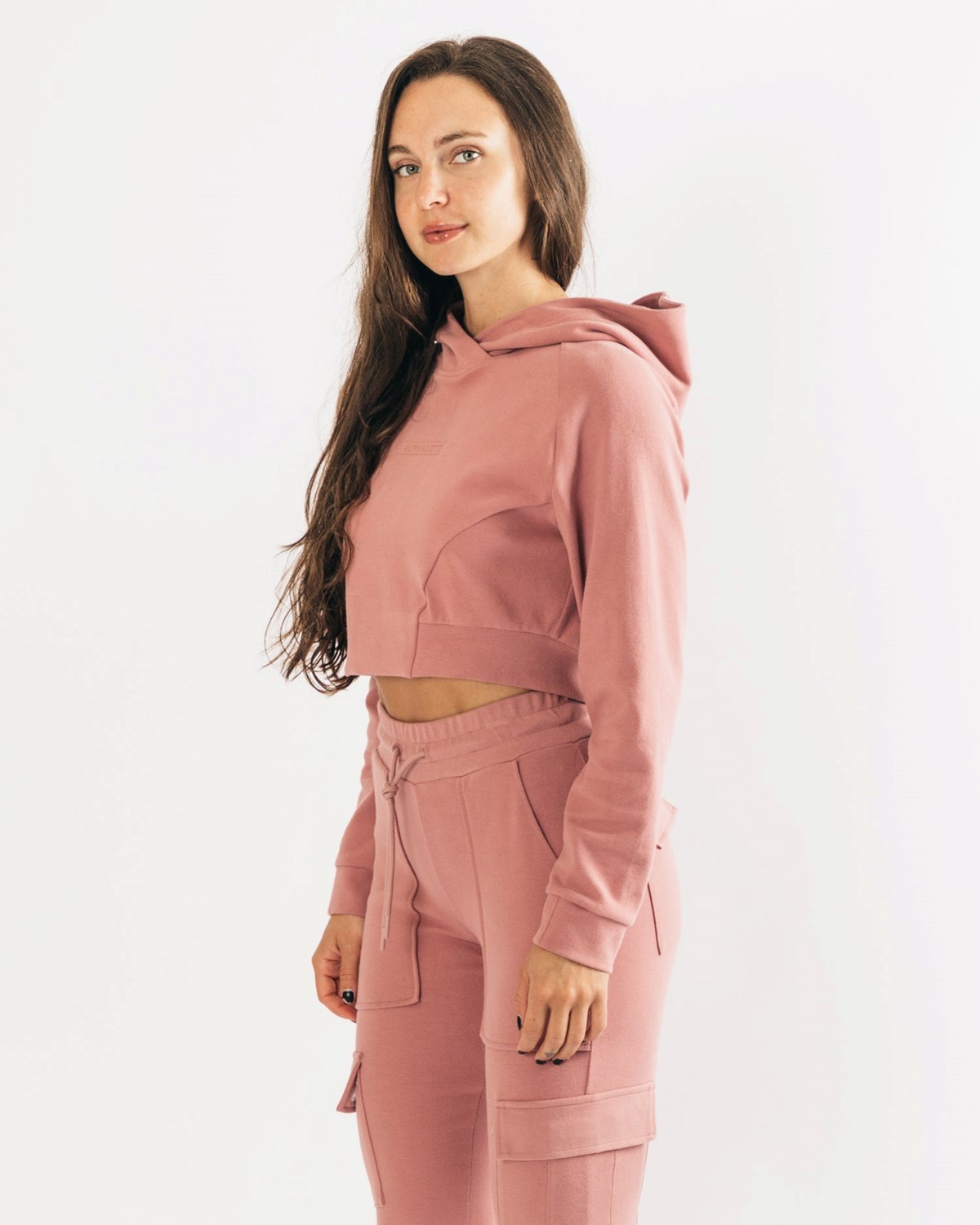 Cranberry Ice Alphalete Relaxed Single-Brushed Pullover Hoodie | KYWUXZ926