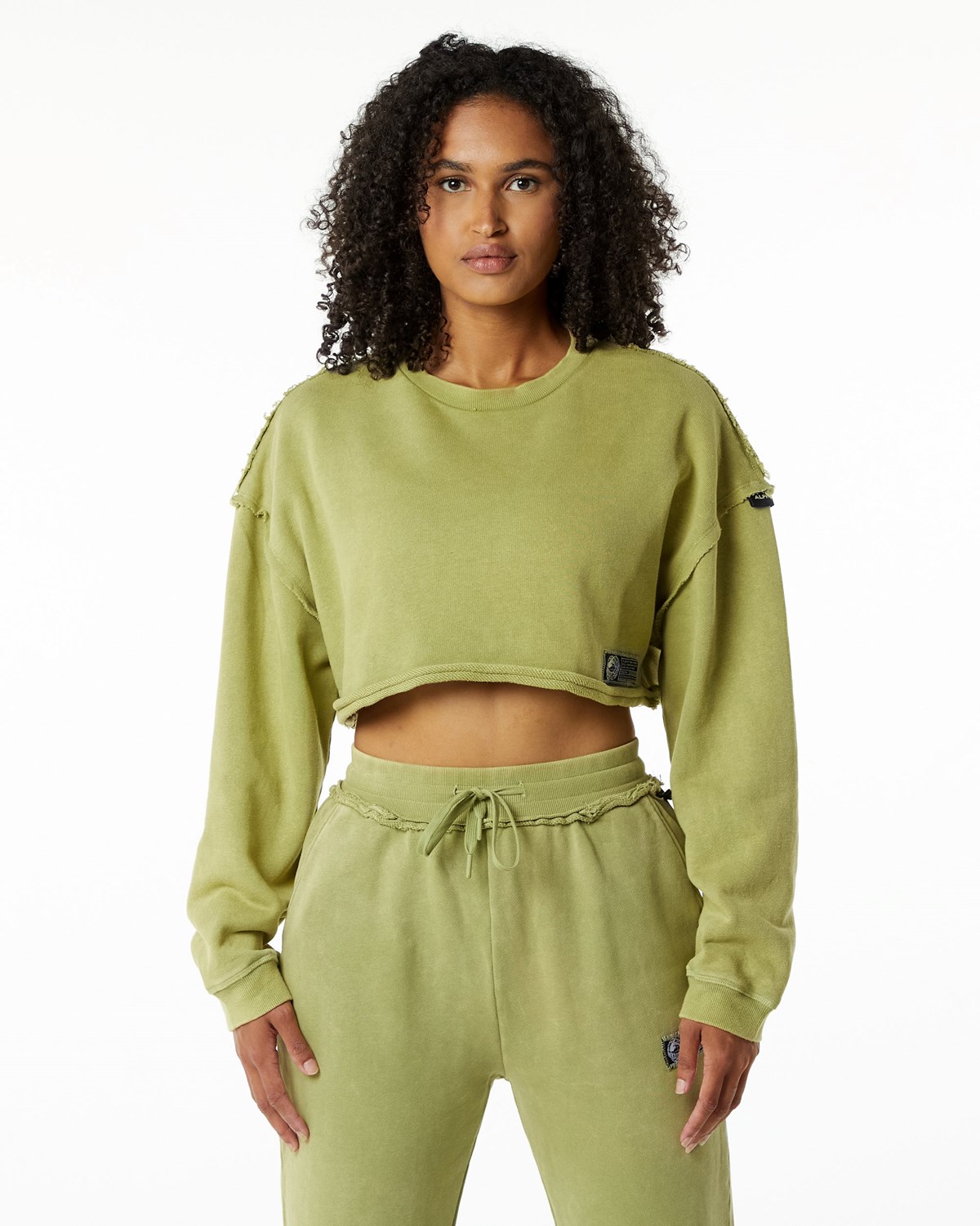 Jade Green Alphalete Heavyweight Washed Terry Crop Pullover | MEIYOB509