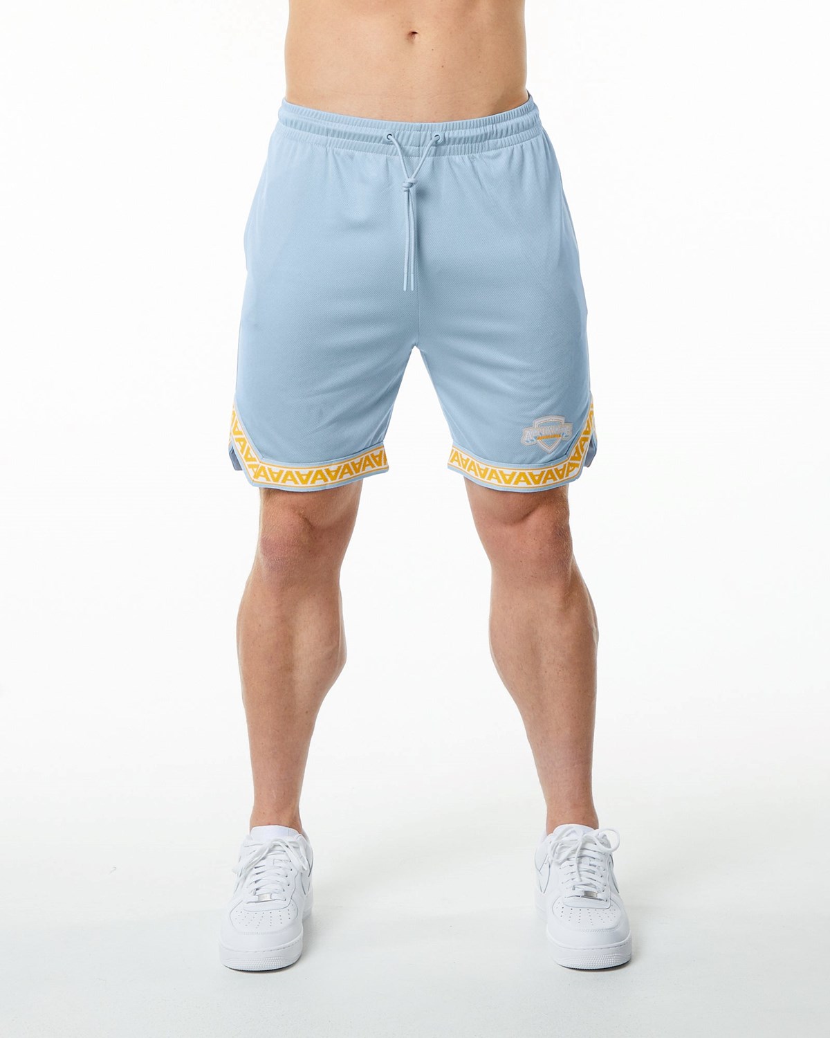 Light Blue Alphalete Jersey Knit Short | ROYFVL326