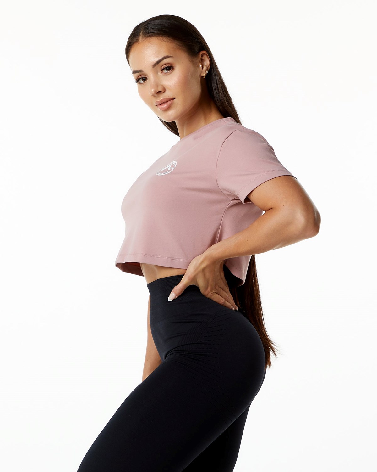 Mauve Alphalete Fitted Performance Short Sleeve Crop | FOUAWX614