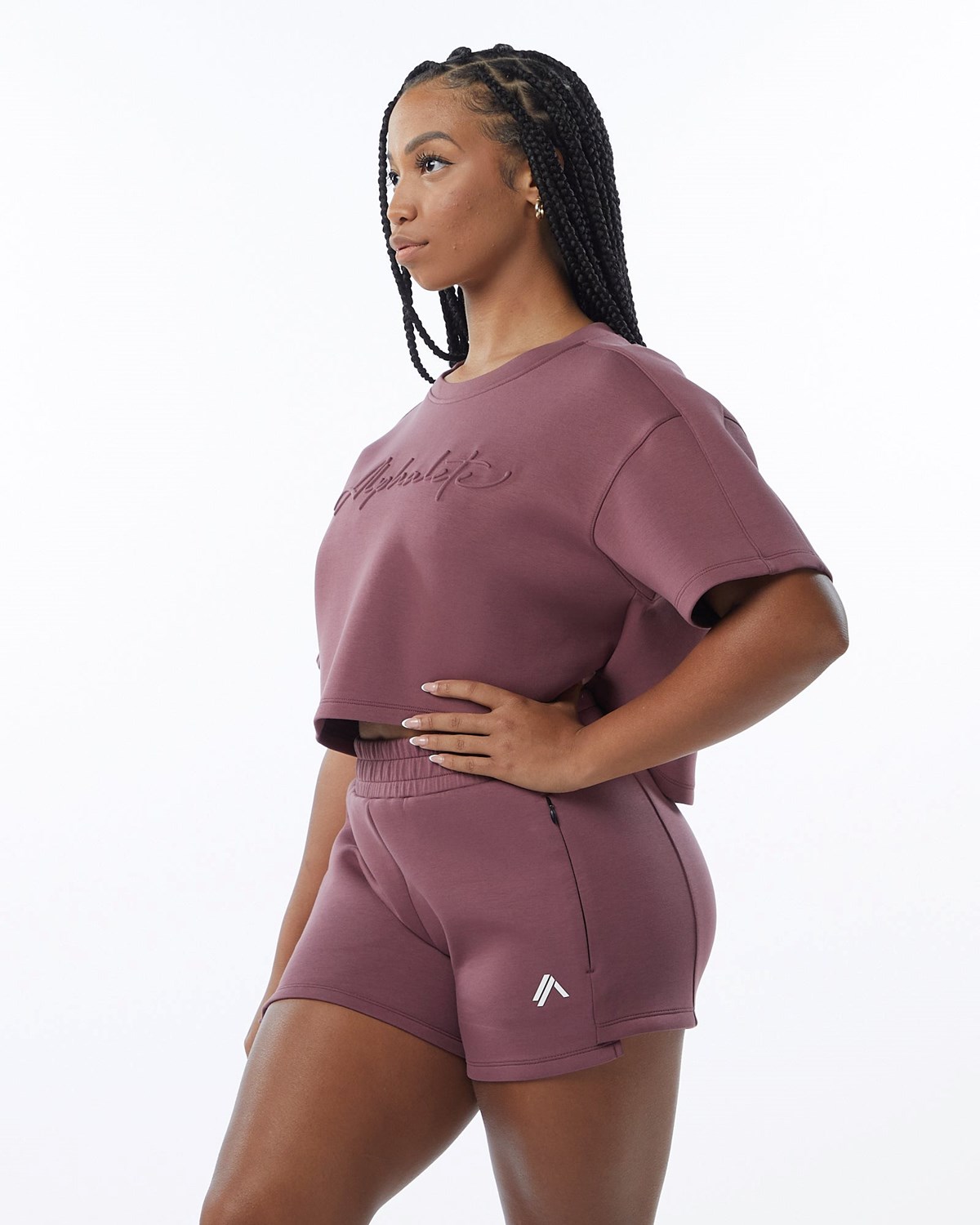 Mauve Alphalete Interlock Knit Crop Pullover | COGYMK018