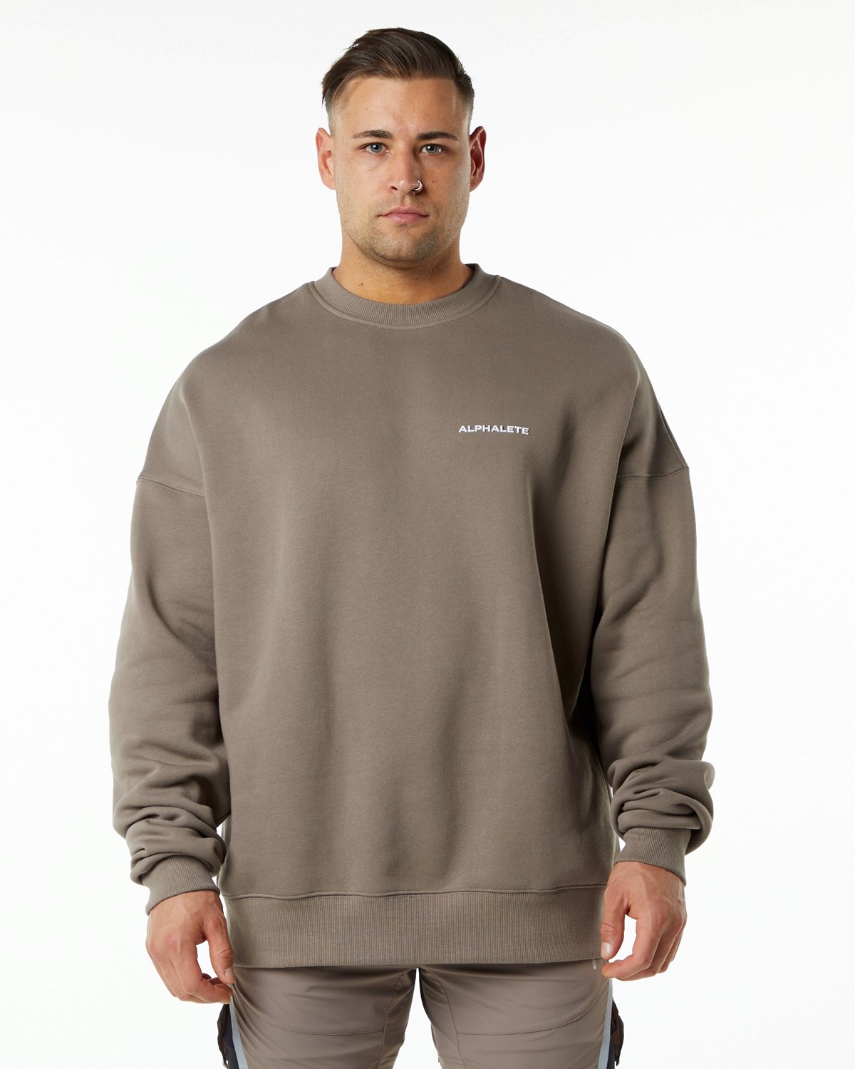 Mocha Alphalete Brushed Fleece Crewneck Sweater | LVMYGJ057