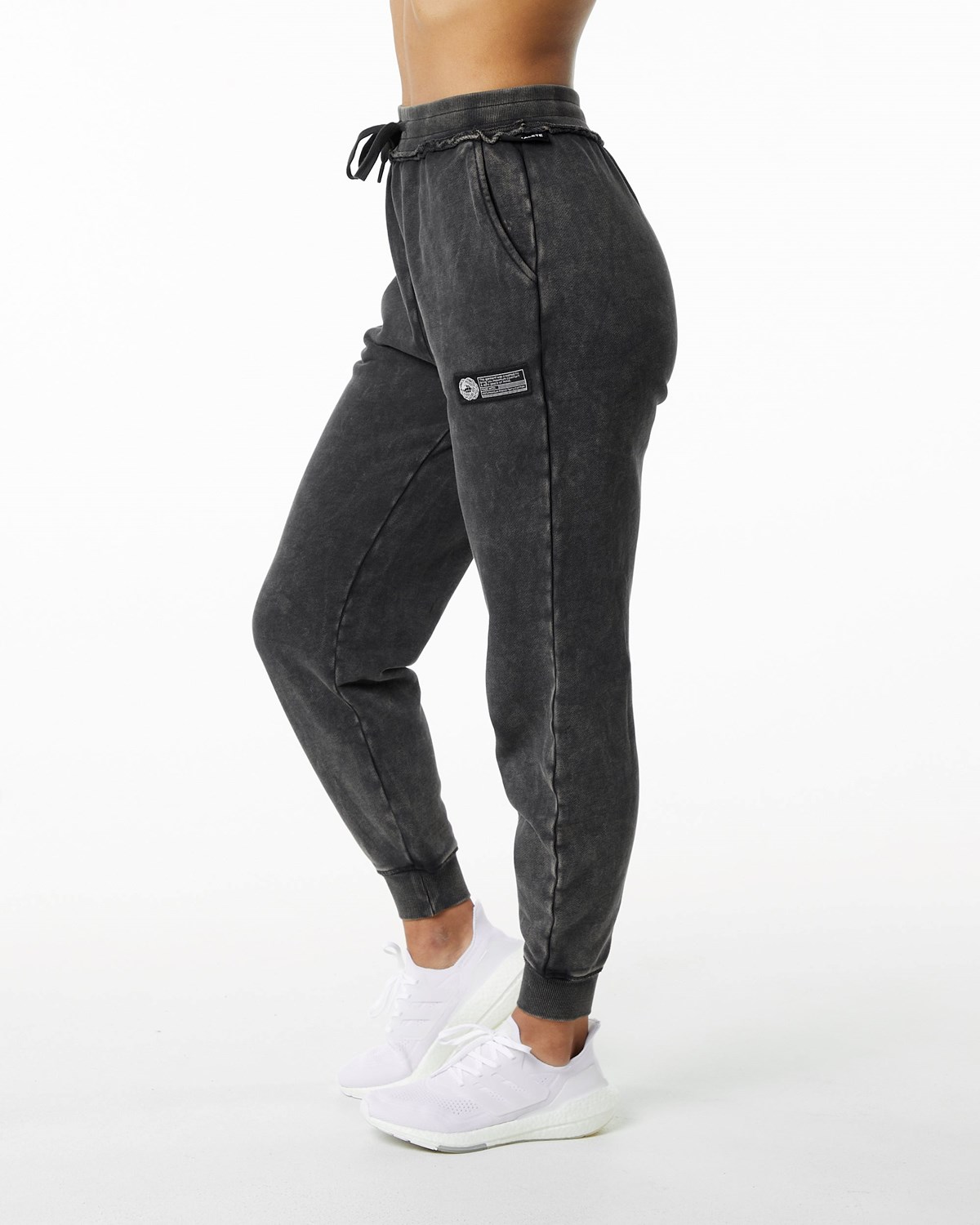 Onyx Alphalete Heavyweight Washed Terry Jogger | TWRNXL981