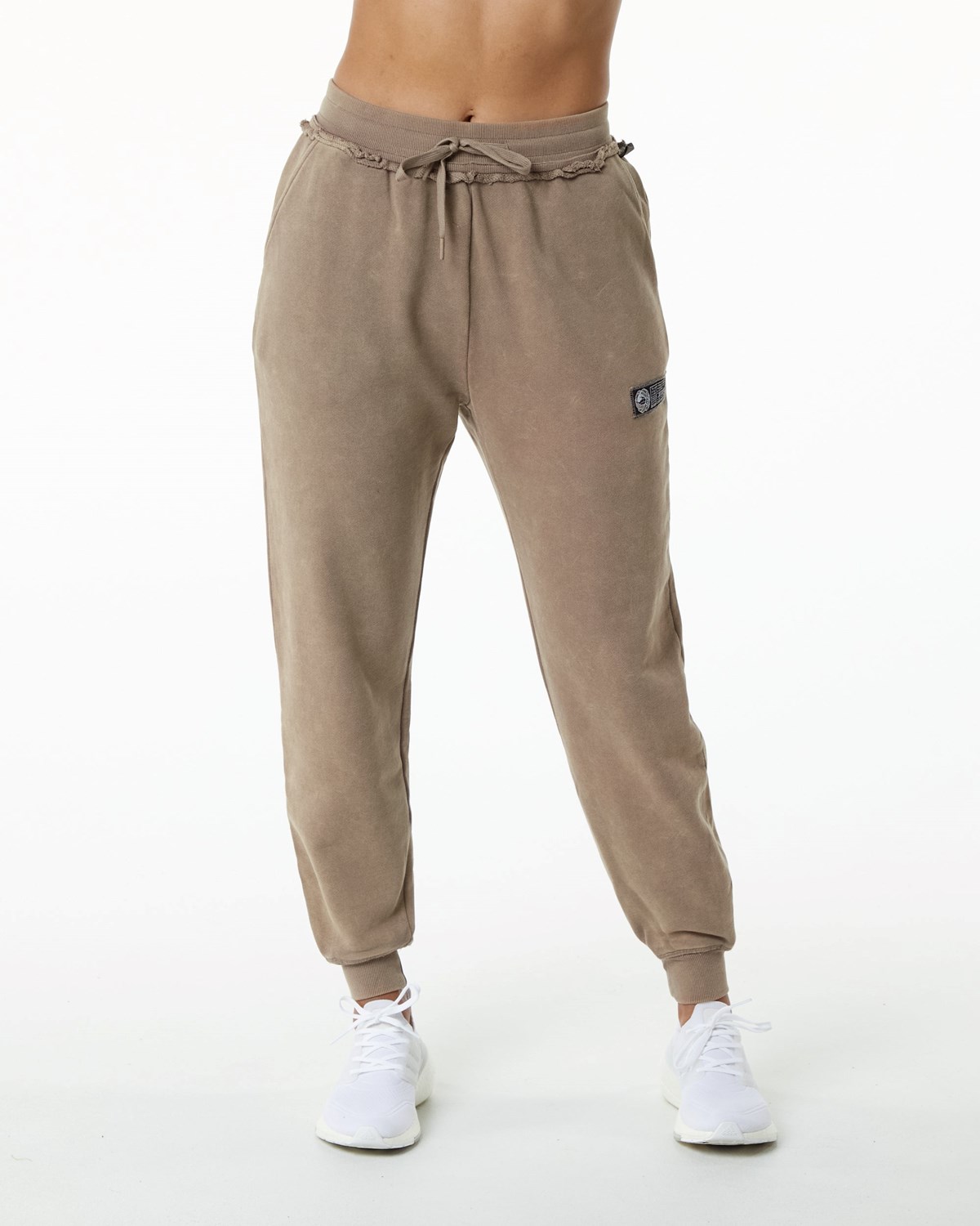 Smokey Quartz Alphalete Heavyweight Washed Terry Jogger | RFDHGW329