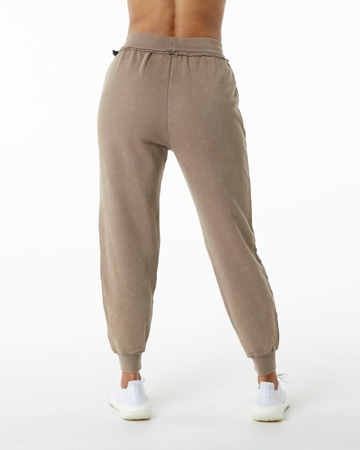 Smokey Quartz Alphalete Heavyweight Washed Terry Jogger | RFDHGW329