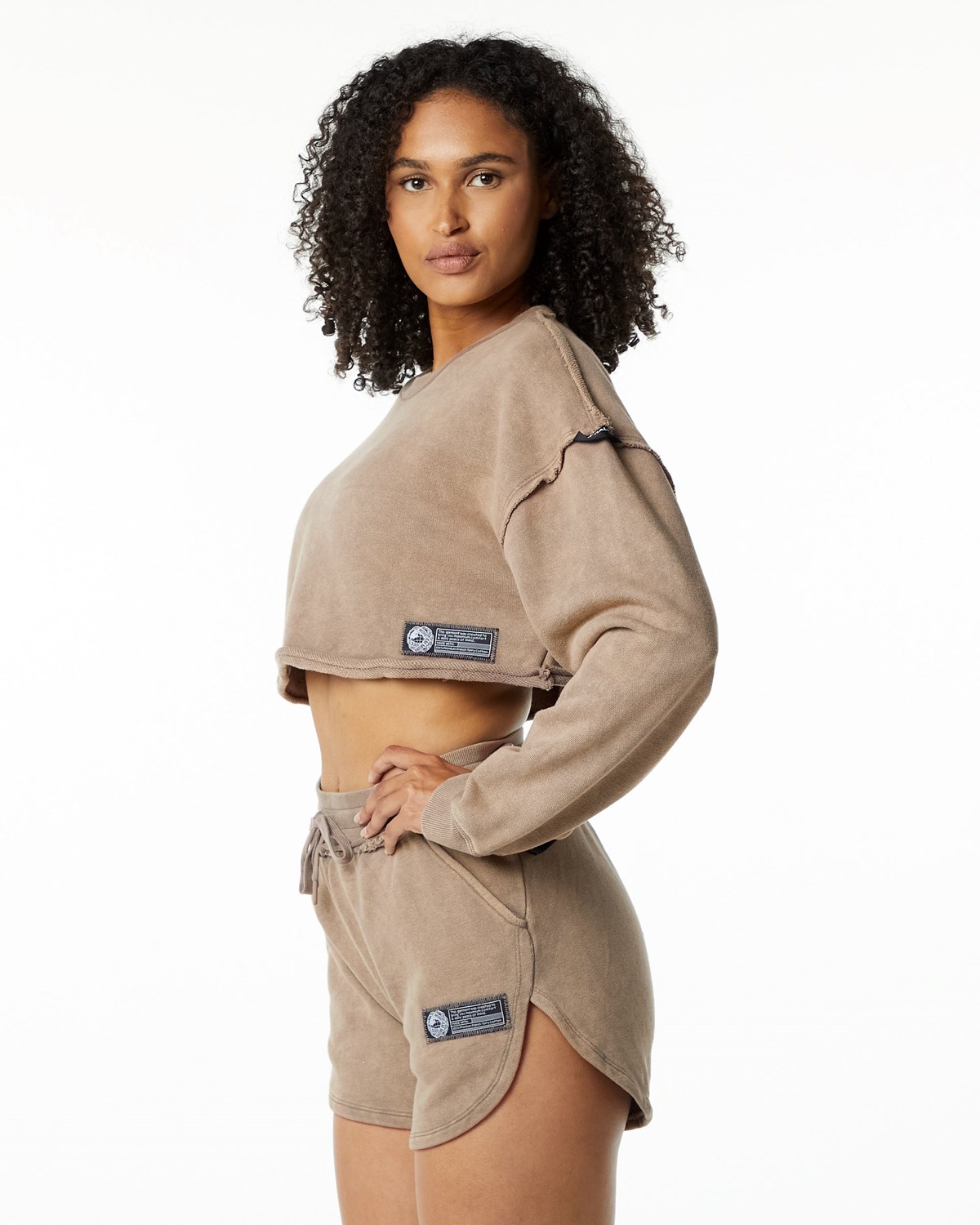 Smokey Quartz Alphalete Heavyweight Washed Terry Crop Pullover | WLYNQB167